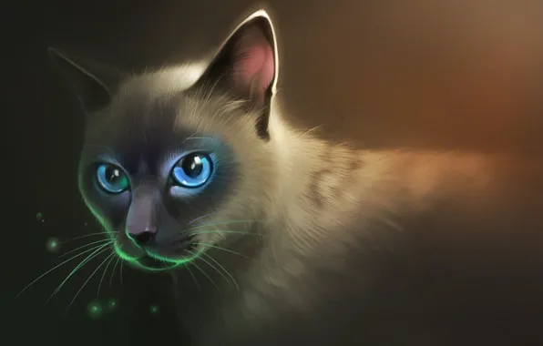 Cat, look, fluffy, art, blue eyes
