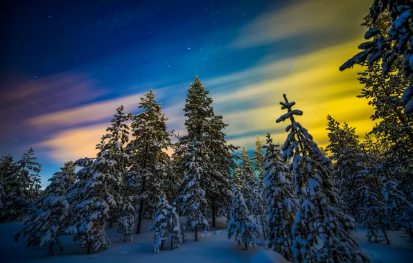 Picture winter, forest, snow, trees, Northern lights, Finland, Finland, Lapland