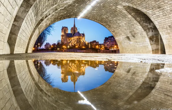 Picture France, Paris, Notre Dame de Paris, an unusual perspective