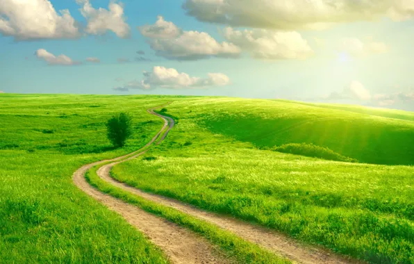 Road, greens, field, the sky, grass, clouds, track, the rays of the sun