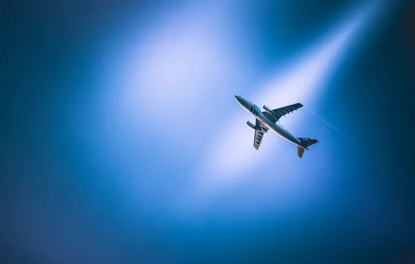 Picture the sky, aviation, the plane