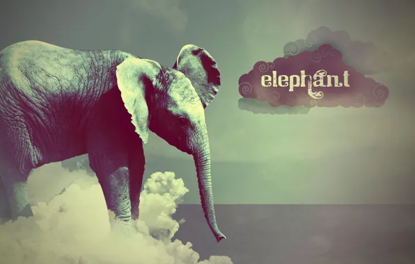 Picture style, elephant, cloud, Elephant