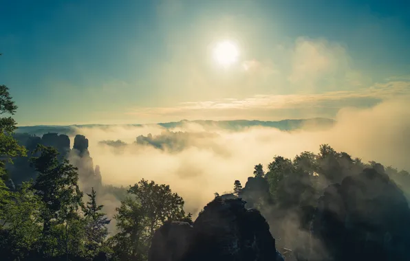 Mountains, fog, morning, Germany, Elbe Sandstone mountains