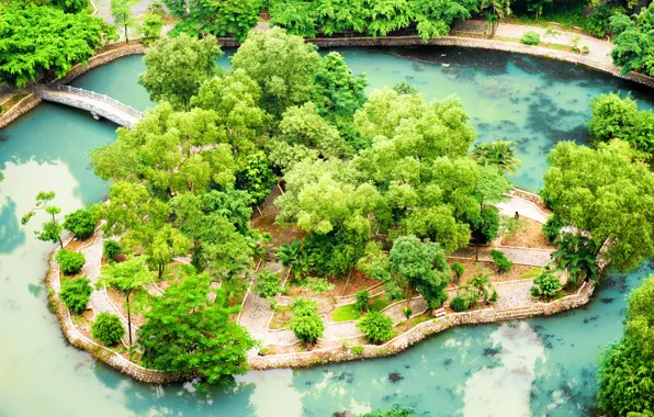 Bridge, pond, Park, Vietnam, Ninh Binh, Tropical Garden