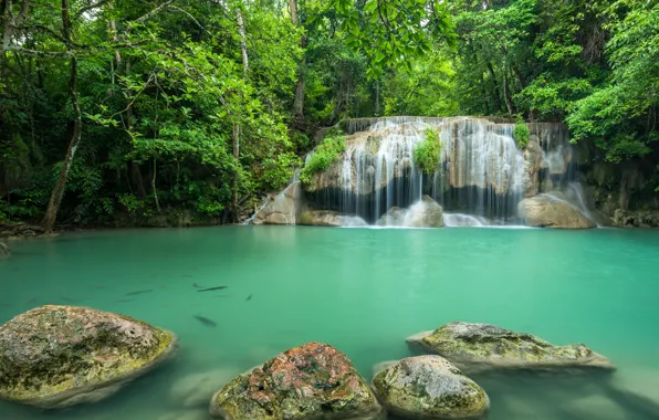 Greens, forest, trees, fish, waterfall, Thailand, boulders, emerald water