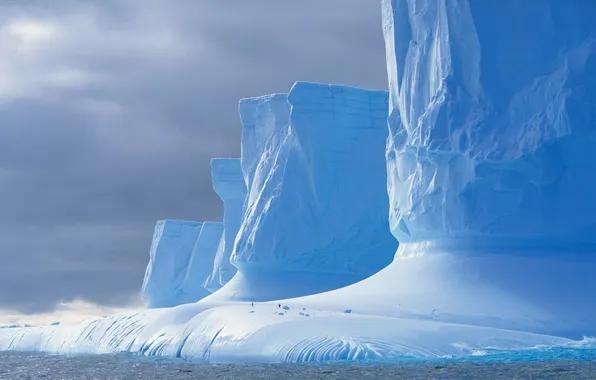 Sea, glacier, penguin, Antarctica