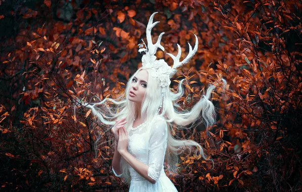 Autumn, forest, look, girl, branches, nature, pose, style