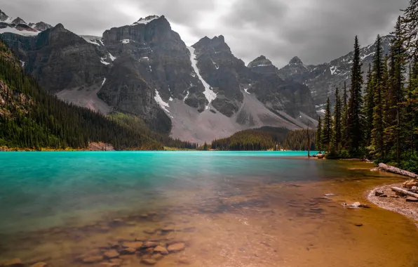 Forest, mountains, lake, shore, the slopes, ate, Canada, Albert