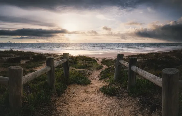 Sea, beach, shore