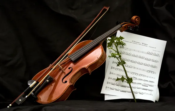 Picture notes, music, violin