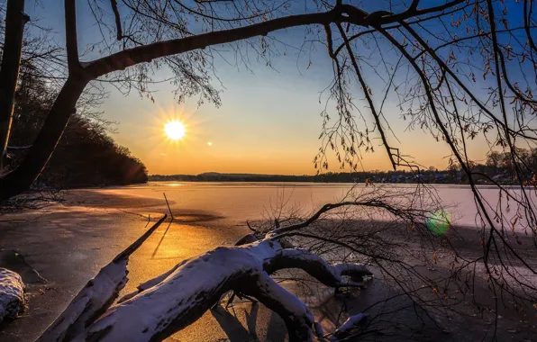 Winter, forest, the sky, the sun, rays, snow, trees, branches