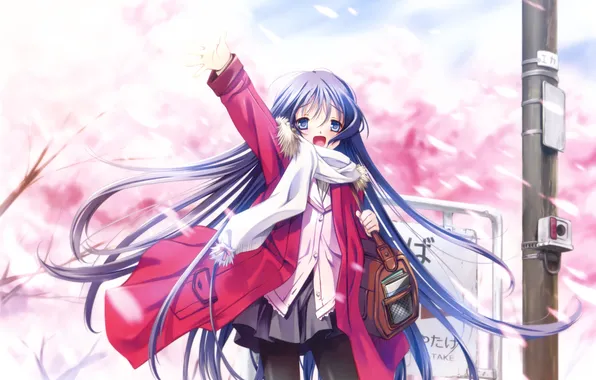 Picture girl, trees, post, anime, petals, Sakura, scarf, art