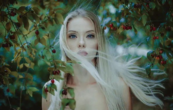 Picture look, branches, berries, long hair, Susan Korzeniewska