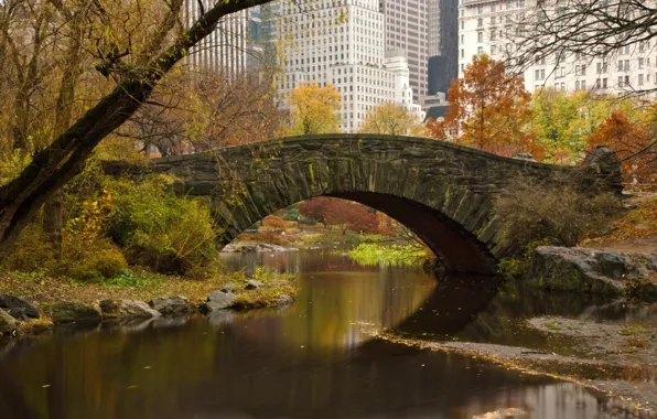 Leaves, trees, bridge, the city, home, spring, river, new York