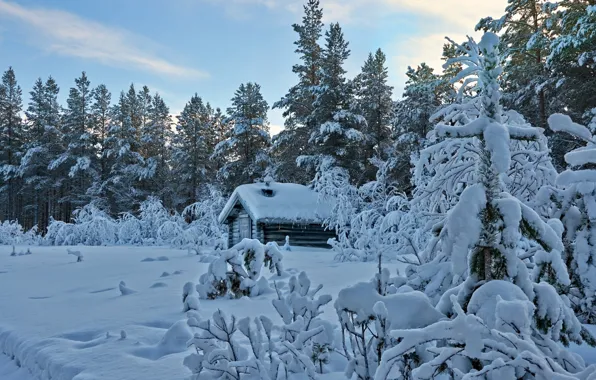 Picture home, snow, winter