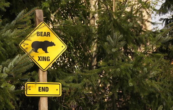 Picture logo, bear, end, zoo