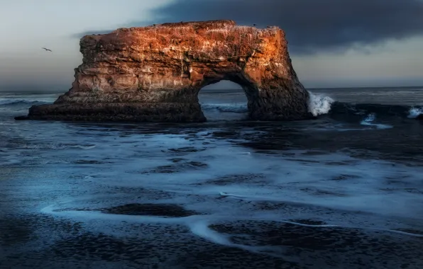 Sea, rock, seagulls, arch