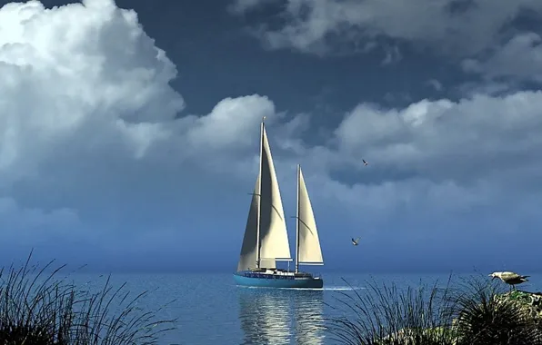 Sky, sea, clouds, shore, yacht, boat, sail, Seagull