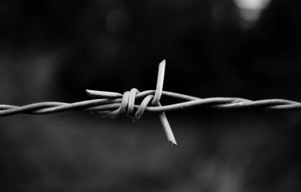Picture macro, aluminum, barbed wire