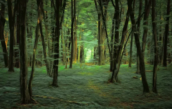 Forest, trees, digital painting