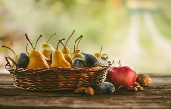 Apples, fruit, nuts, still life, plum, pear