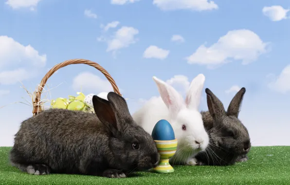 Basket, eggs, Easter, rabbits, Easter