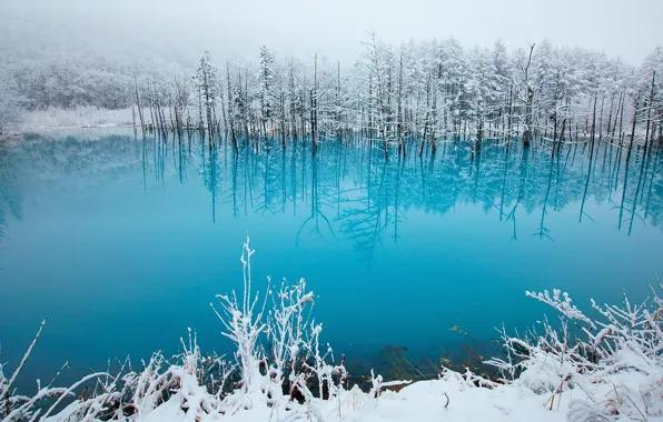 Picture winter, lake, beauty, tale, Japan, photo, blue, snow