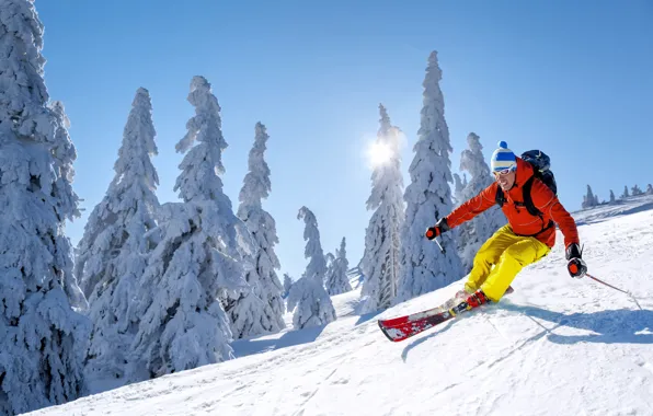 Picture winter, the sky, the sun, snow, trees, the descent, hat, ski