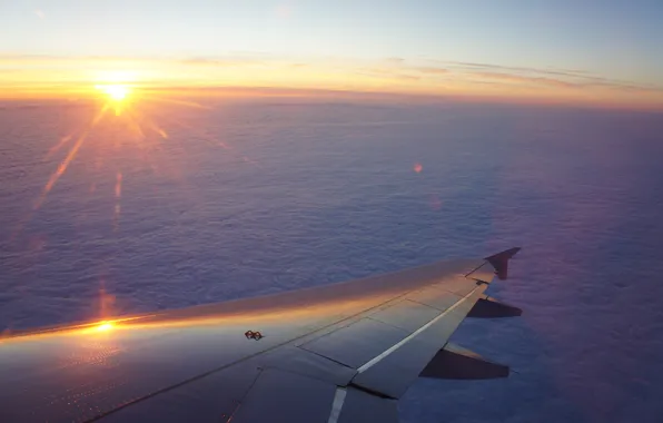 The sky, sunset, The sun, wing, flight, the plane
