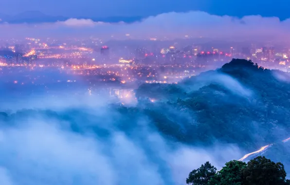 The sky, clouds, trees, the city, lights, fog, view, height