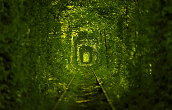 Nature, Ukraine, tram tracks, tunnel of love