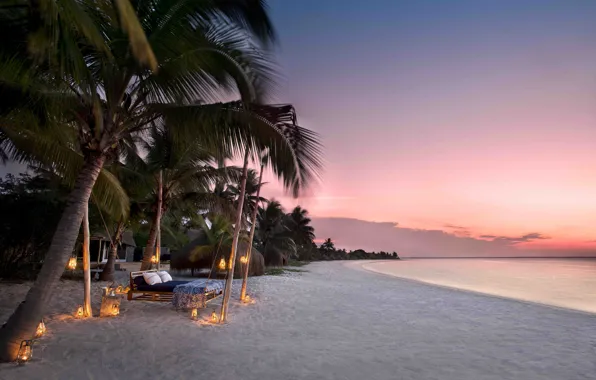Beach, palm trees, the ocean, wine, romance, the evening, candles, bed