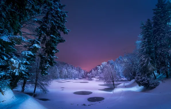 Winter, forest, snow, night, lake
