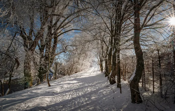 Winter, frost, road, forest, the sky, the sun, rays, light