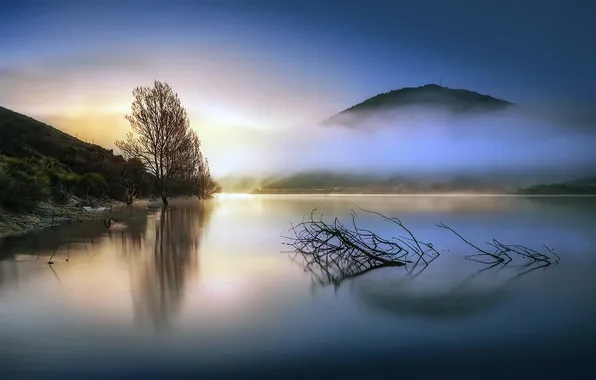 Picture the sun, fog, lake, tree, hills, Mountains