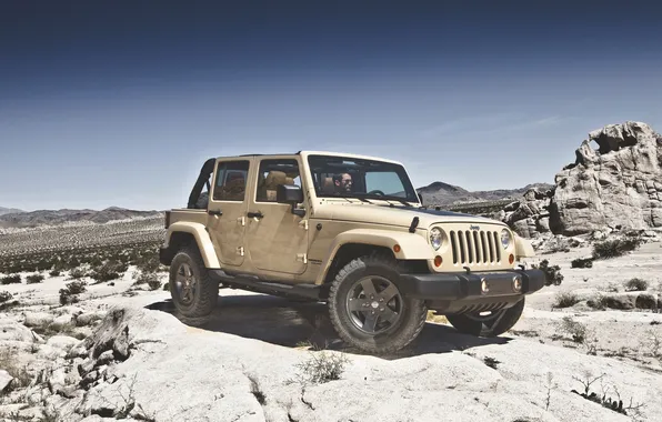 Picture Auto, Desert, Stones, Day, wrangler, Jeep, Mojave