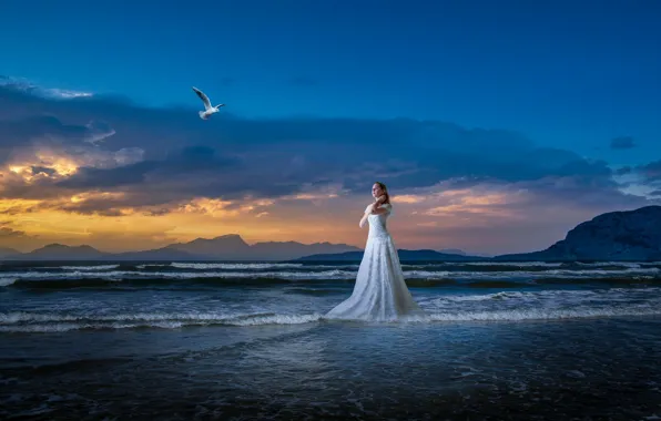 Sea, beach, girl, blue, rendering, shore, Seagull, surf