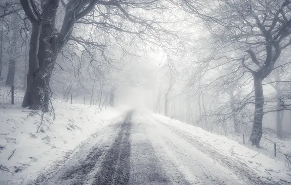Winter, road, fog