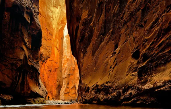 Picture National Park, Zion, Virgin River, Utah.Canyon