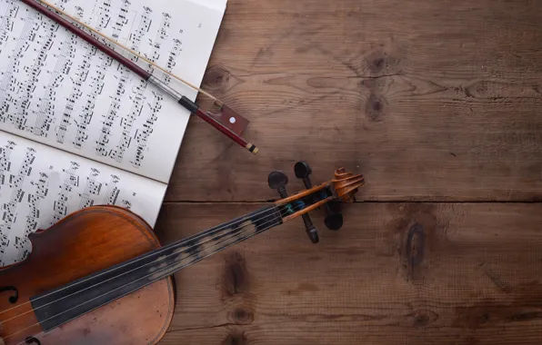 Notes, background, violin, myzyka