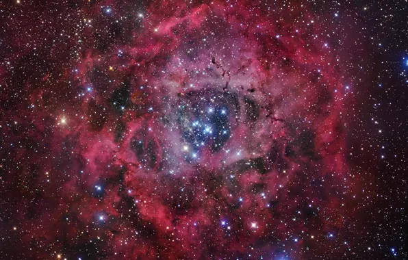 Stars, Nebula, rosette nebula