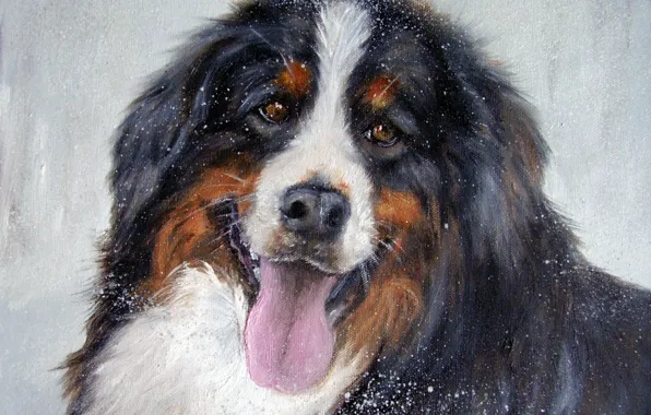 Look, pose, oil, portrait, dog, painting, face, canvas