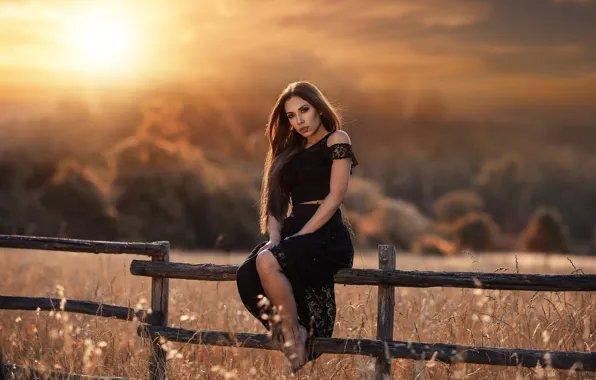 Picture girl, sunset, the fence, meadow, Alessandro Di Cicco, Simona Hyun