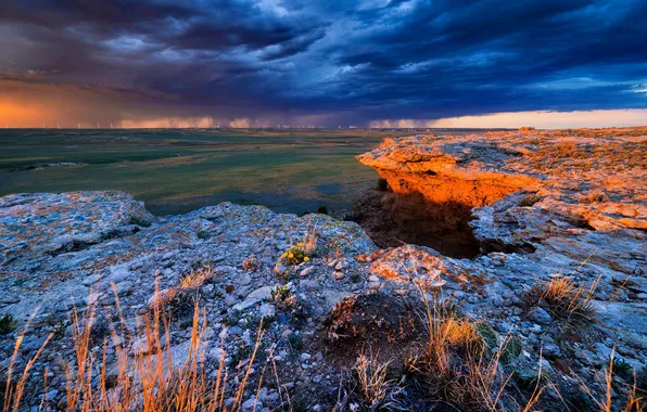 Field, the sky, landscape