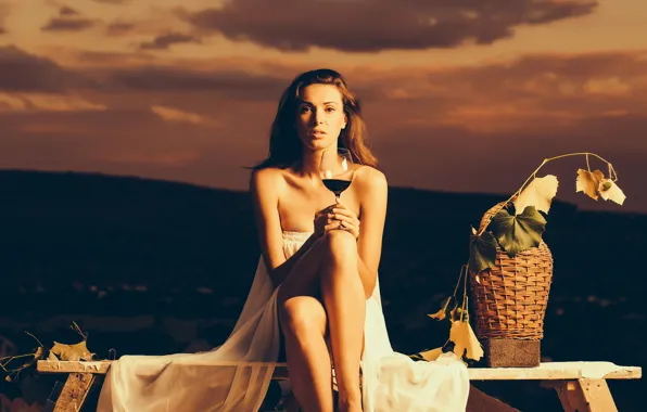 Picture leaves, girl, sunset, pose, wine, basket, glass, the evening