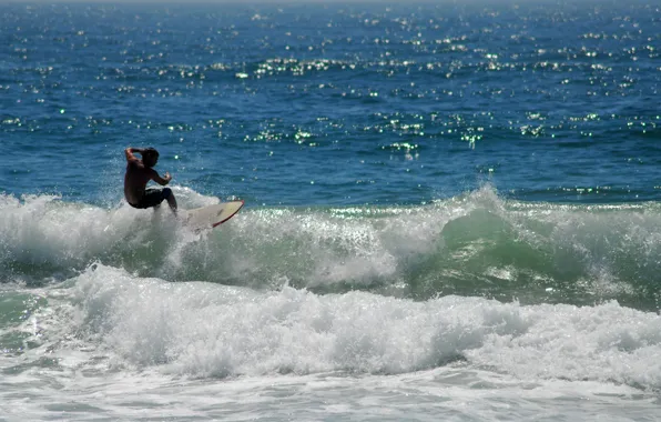 Sea, wave, surfing