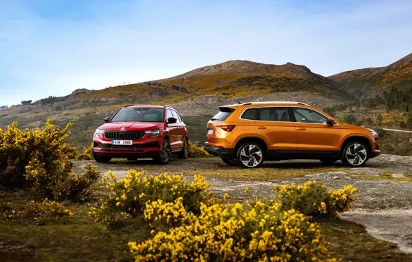Car, machine, auto, machine, background, Wallpaper, technique, car