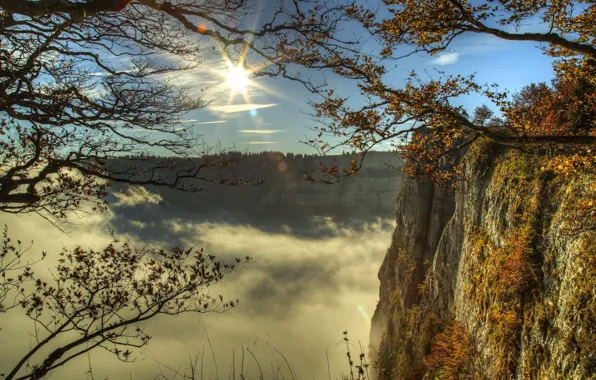 The sky, Fog, Morning