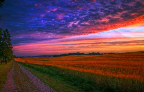 Road, landscape, sunset, HDR