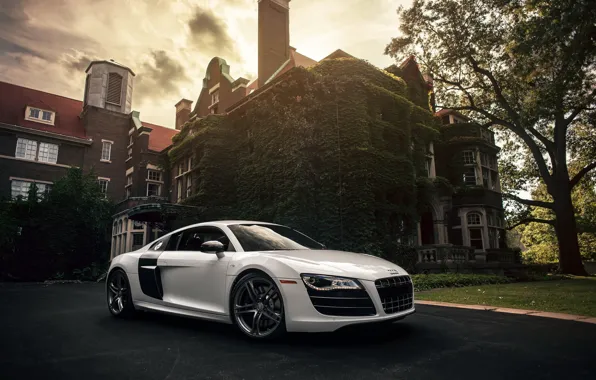 Picture audi, house, v10, R8